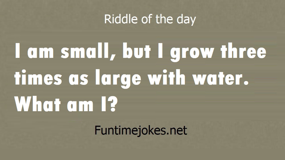 I am small, but I grow three times as large with water. What am I